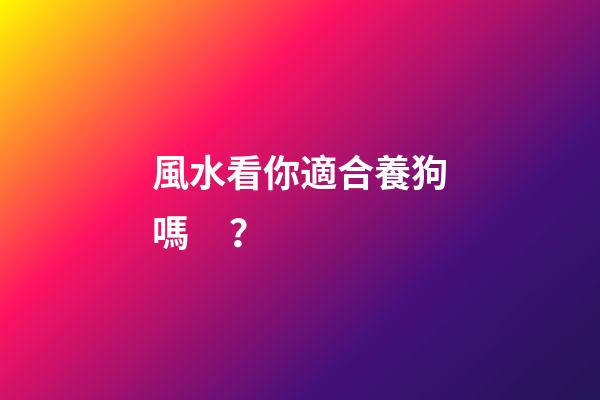 風水看你適合養狗嗎？